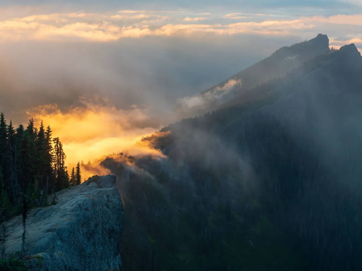 Layered mountain ridges in morning haze with a pine ridge line in the foreground